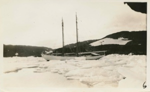 Image: Bowdoin in ice